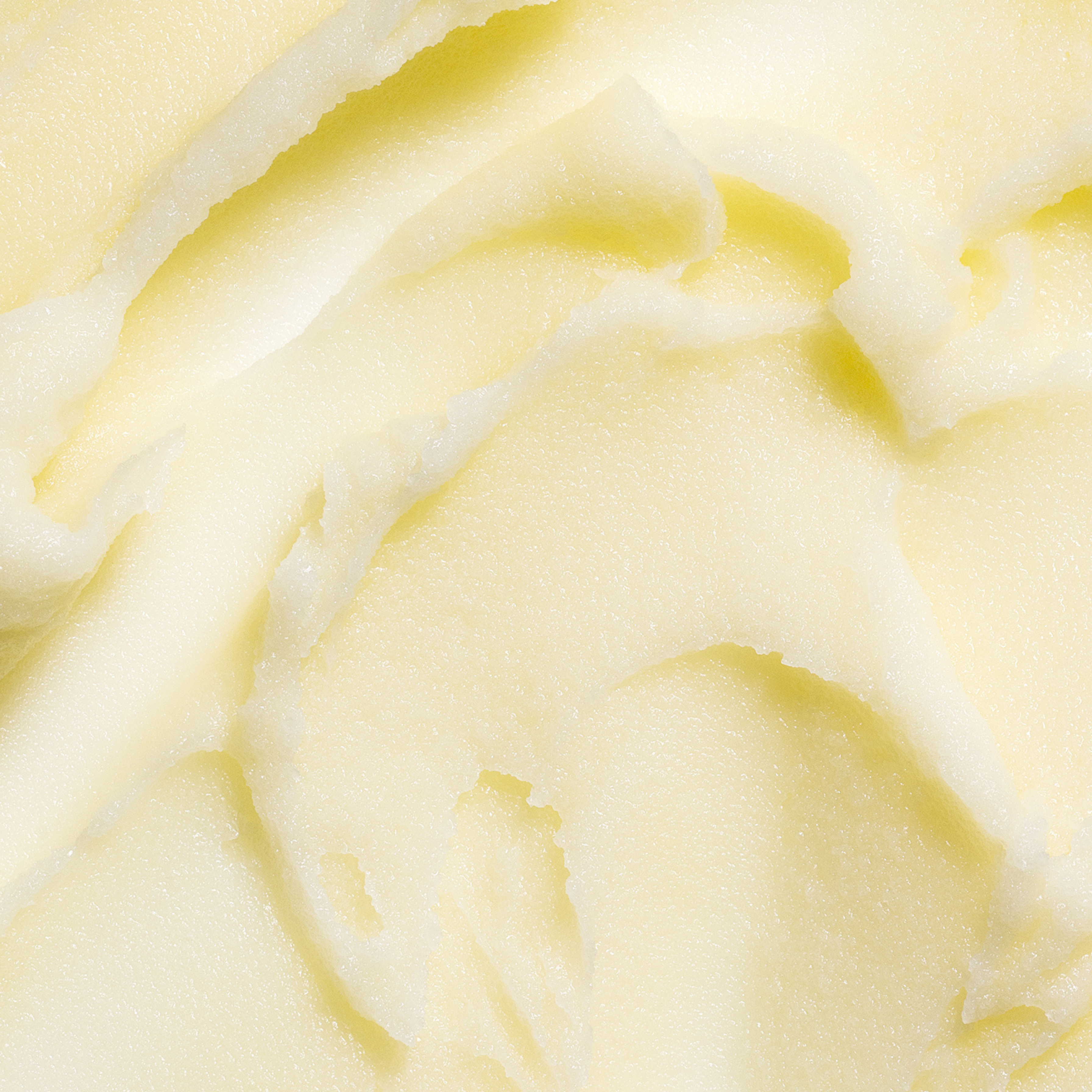 Fresh Citrus Burst · Tallow Balm